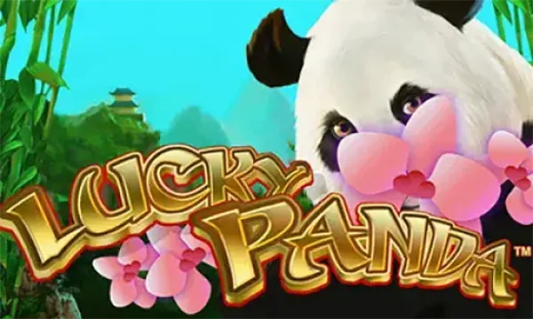écran du jeu pandas